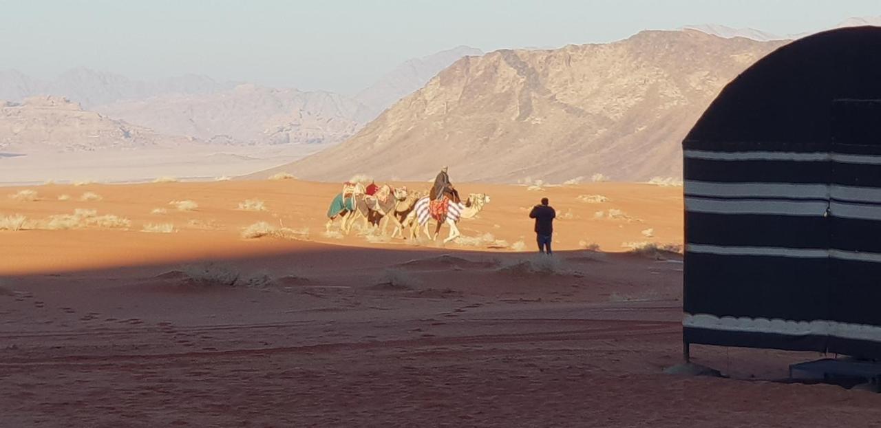 Hotel Real Bedouin Experience Tours & Camp Wadi Rum Exterior foto