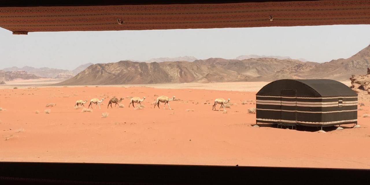 Hotel Real Bedouin Experience Tours & Camp Wadi Rum Exterior foto